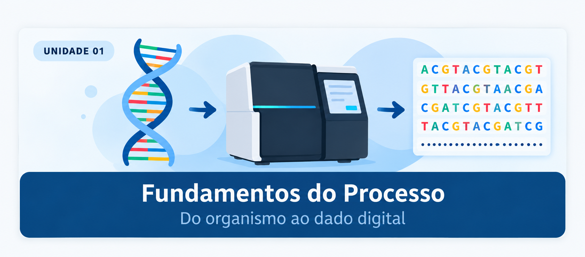 Fundamentos do Processo — do organismo ao dado digital