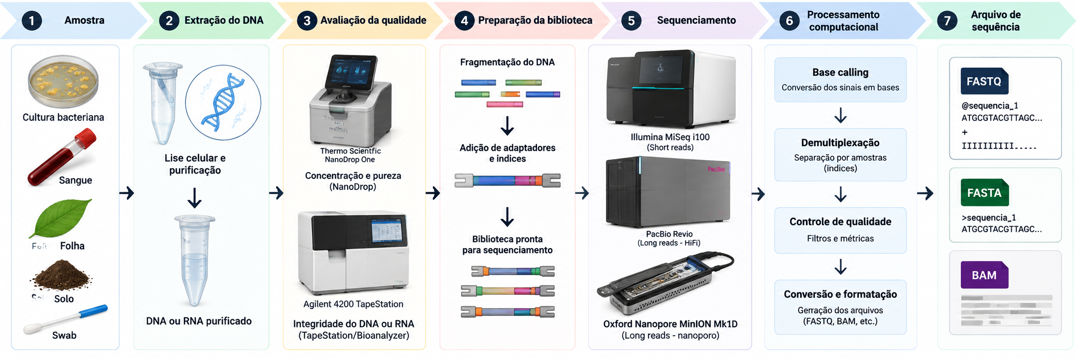 Fluxo do organismo ao dado digital