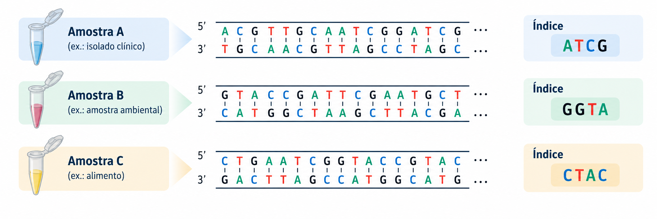 Amostras identificadas por índices ou barcodes