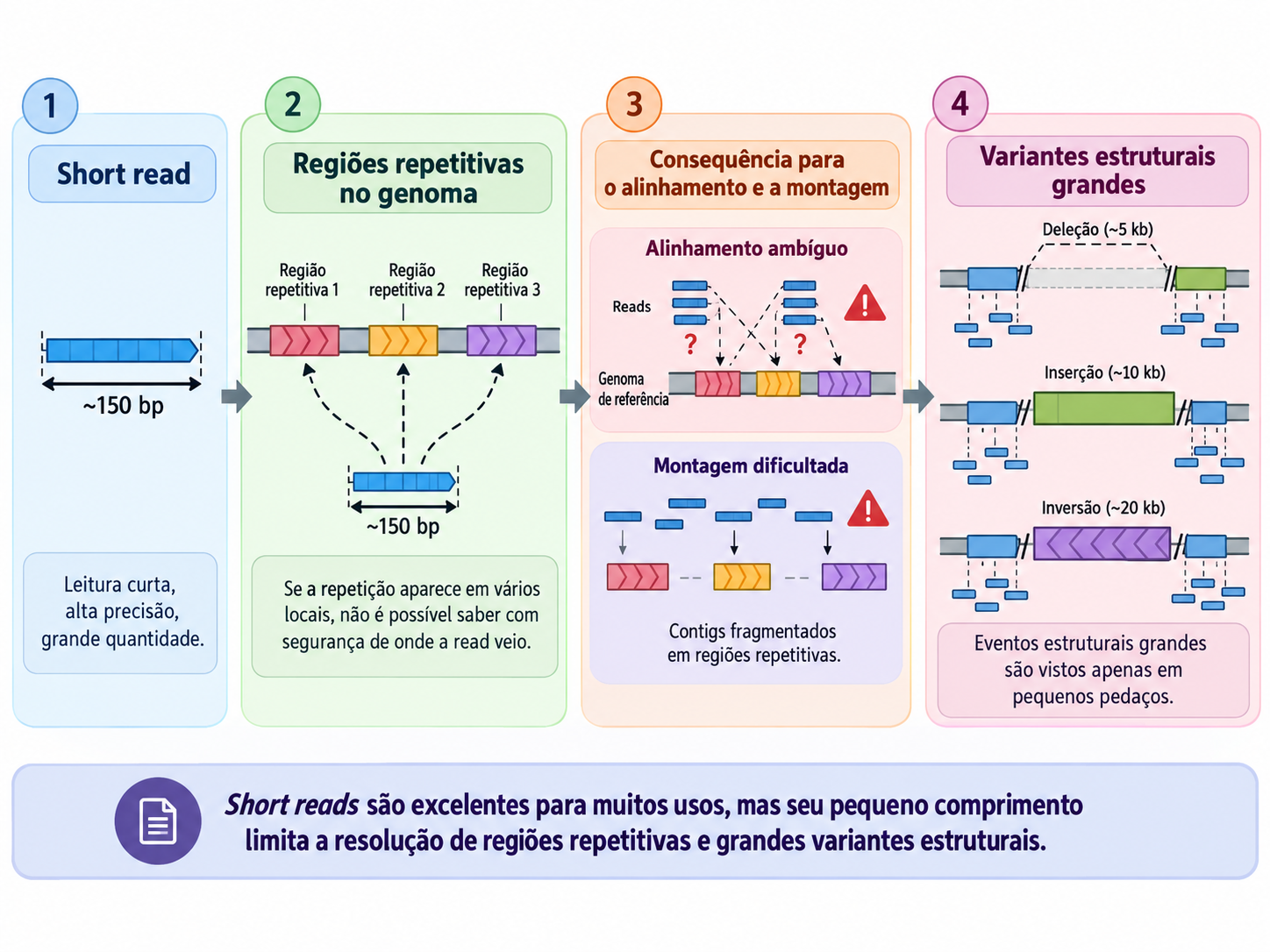 Limitações das short reads em regiões repetitivas