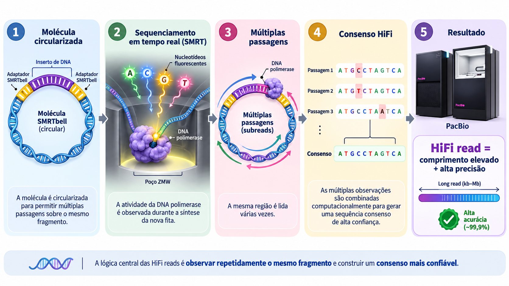 Tecnologia PacBio SMRT