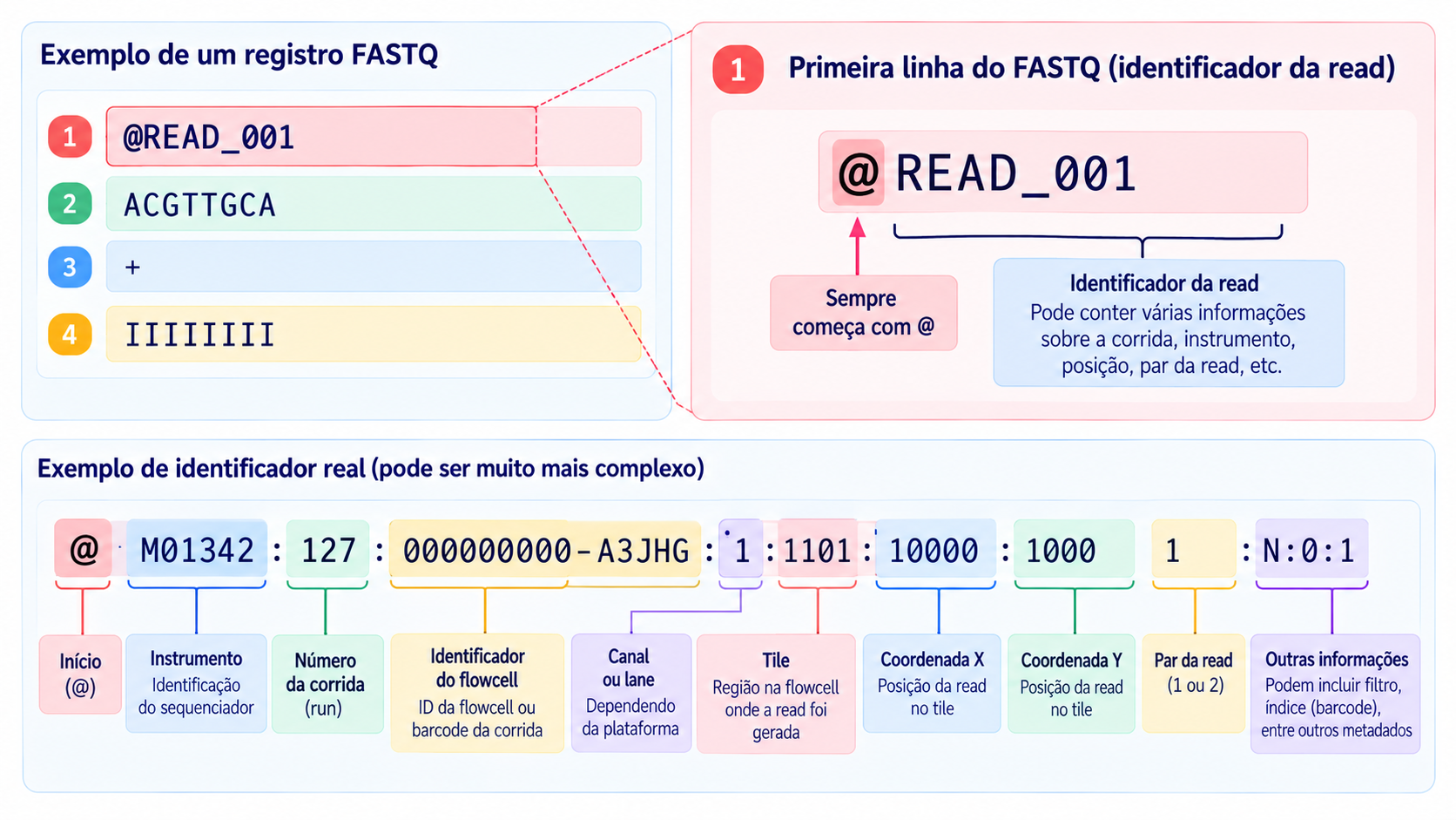 Primeira linha do FASTQ