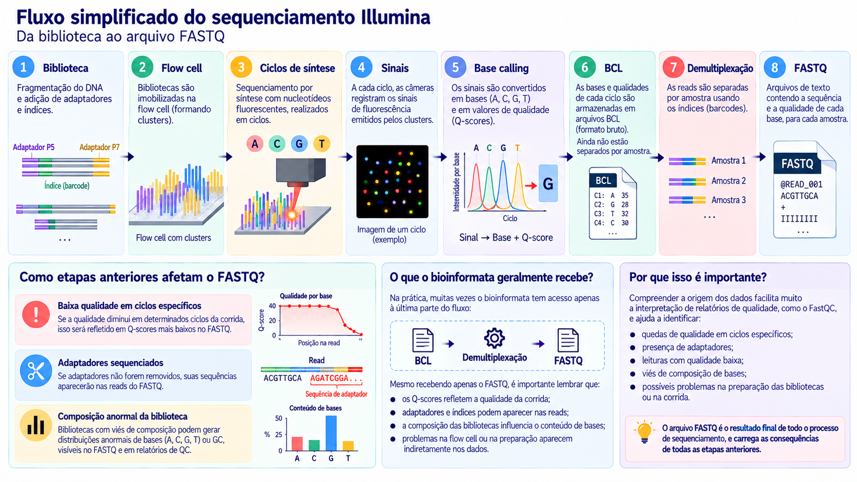 Fluxo completo do sequenciamento Illumina
