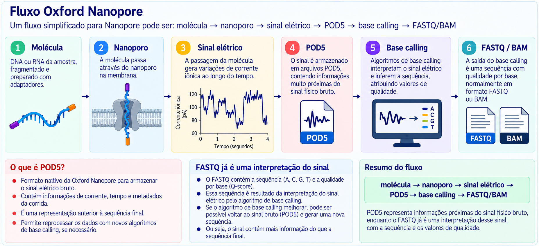 Fluxo simplificado do sequenciamento Oxford Nanopore
