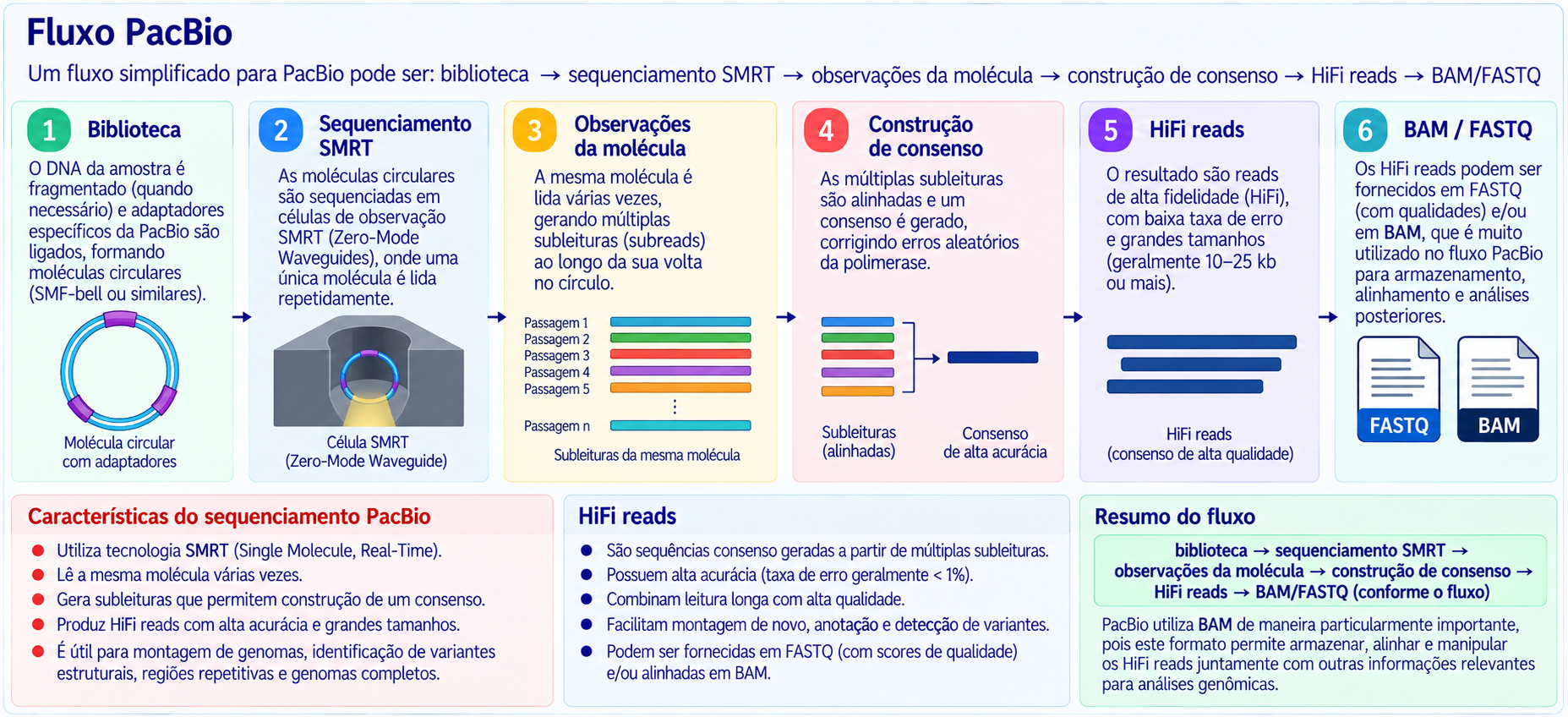 Fluxo simplificado do sequenciamento PacBio
