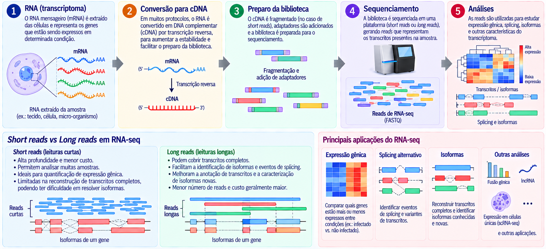 Fluxo simplificado de um experimento de RNA-Seq