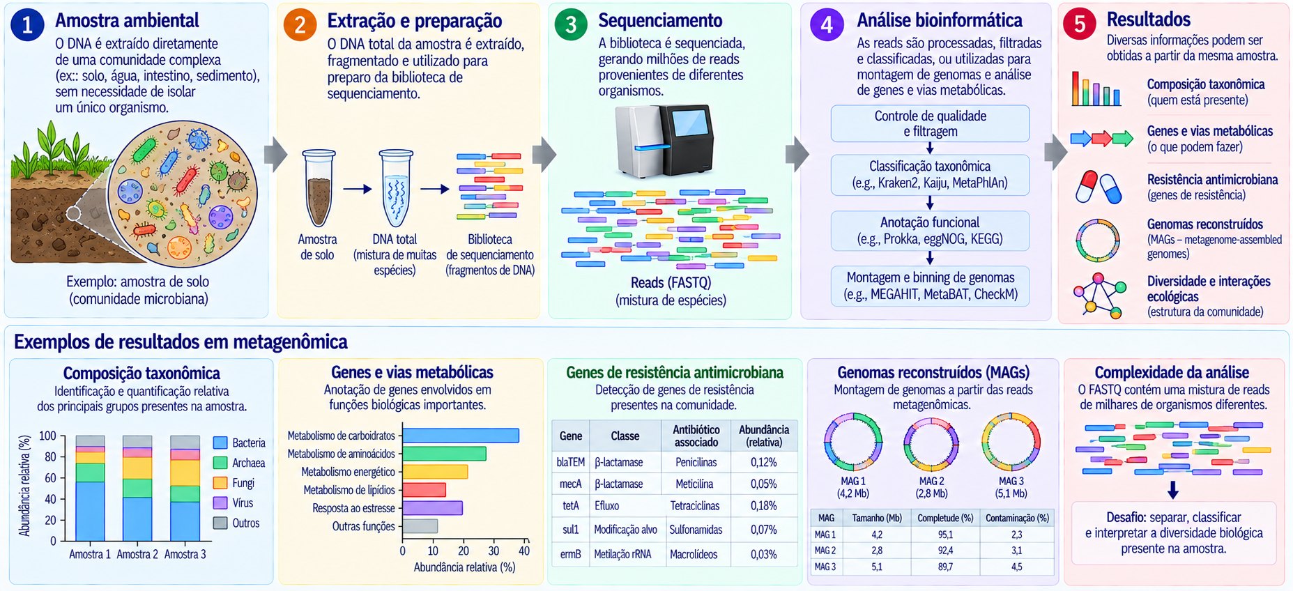 Fluxo simplificado de um experimento de metagenômica