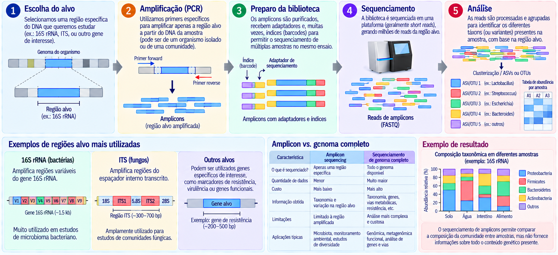 Fluxo simplificado do sequenciamento por amplicon