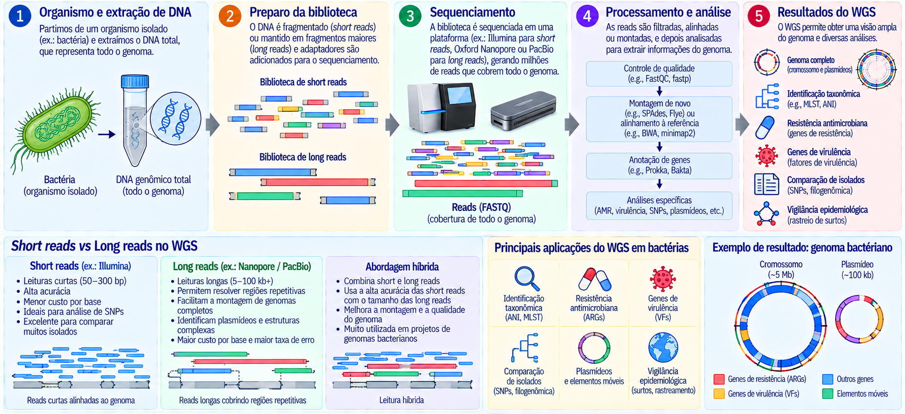 Fluxo simplificado do Whole-Genome Sequencing